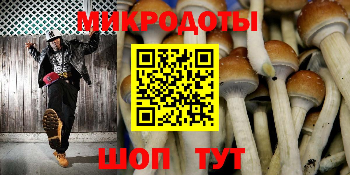 Псилоцибиновые грибы Cubensis Тавда