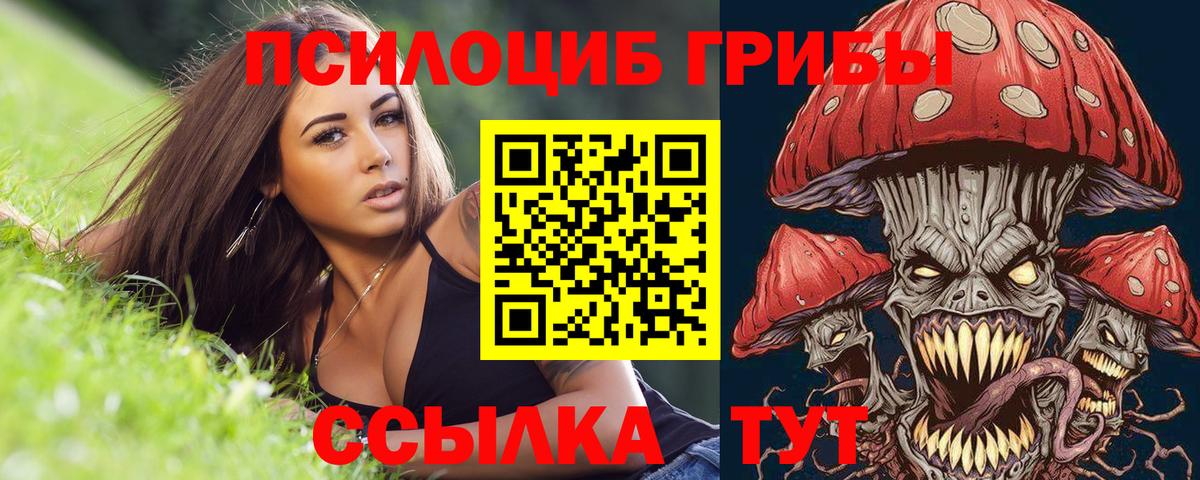 Тавда  Псилоцибиновые грибы Magic Shrooms  Галлюциногенные грибы прущие грибы  Вход с VPN 